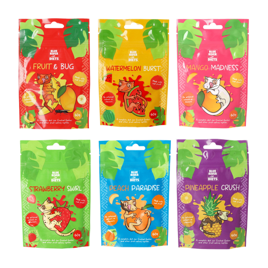 Bundle & Save: Gecko Favorites Sampler Pack (Pack of 6 60g bags)