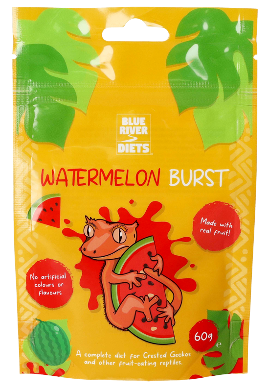 blue river diets gecko food watermelon burst