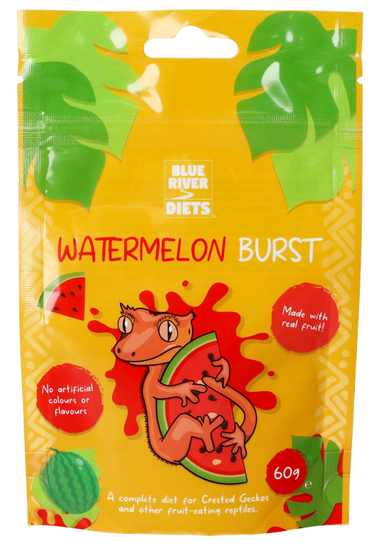 blue river diets gecko food watermelon burst